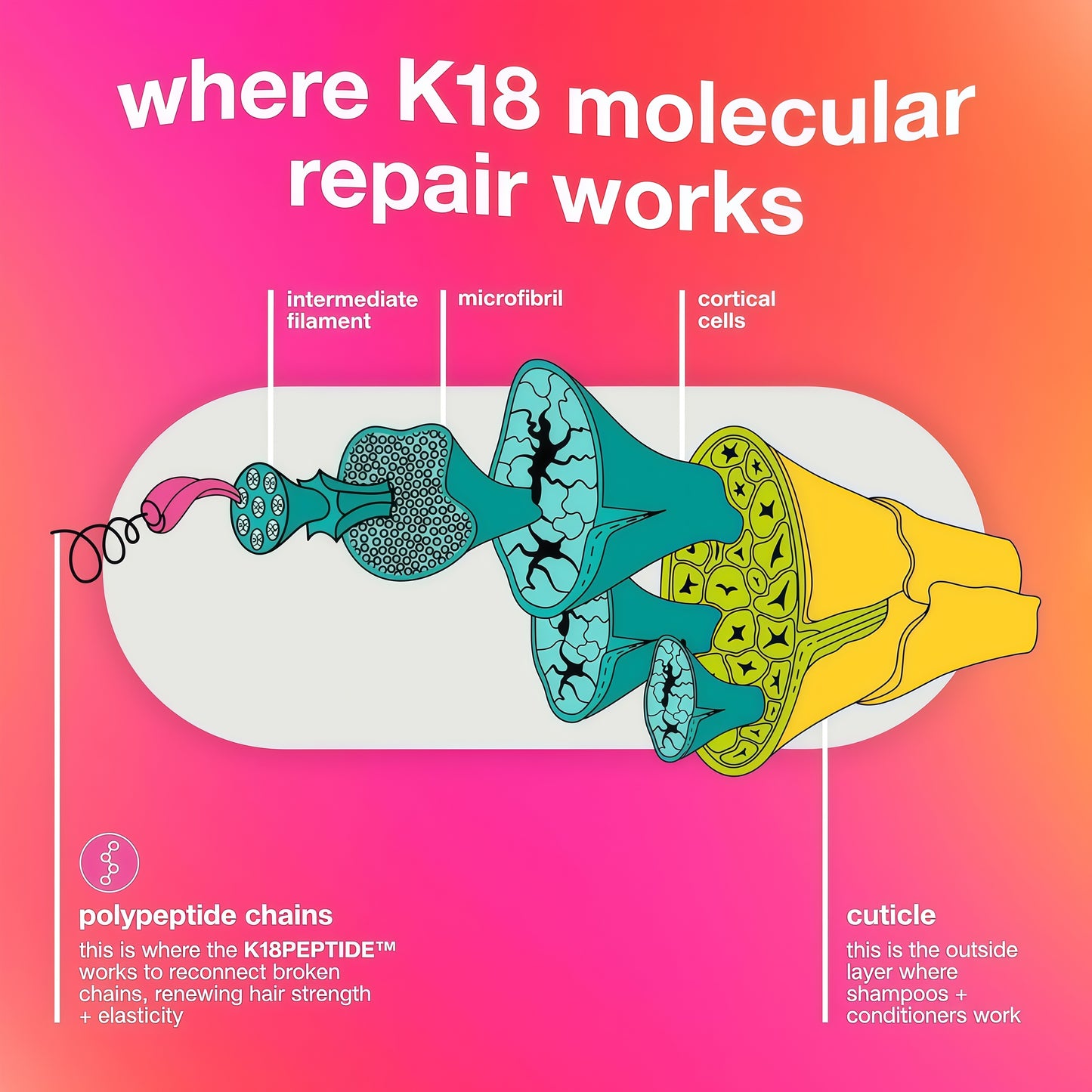 K18 Leave-In Molecular Repair Hair Mask, Patented, Lasting Repair For Dry, Frizzy, Damaged Hair, Reverse Damage In 4 Minutes From Bleach, Color, Chemical Services + Heat-Full Size - 50mL