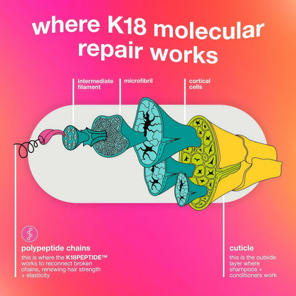 K18 Leave-In Molecular Repair Hair Mask, Patented, Lasting Repair For Dry, Frizzy, Damaged Hair, Reverse Damage In 4 Minutes From Bleach, Color, Chemical Services + Heat-Full Size - 50mL